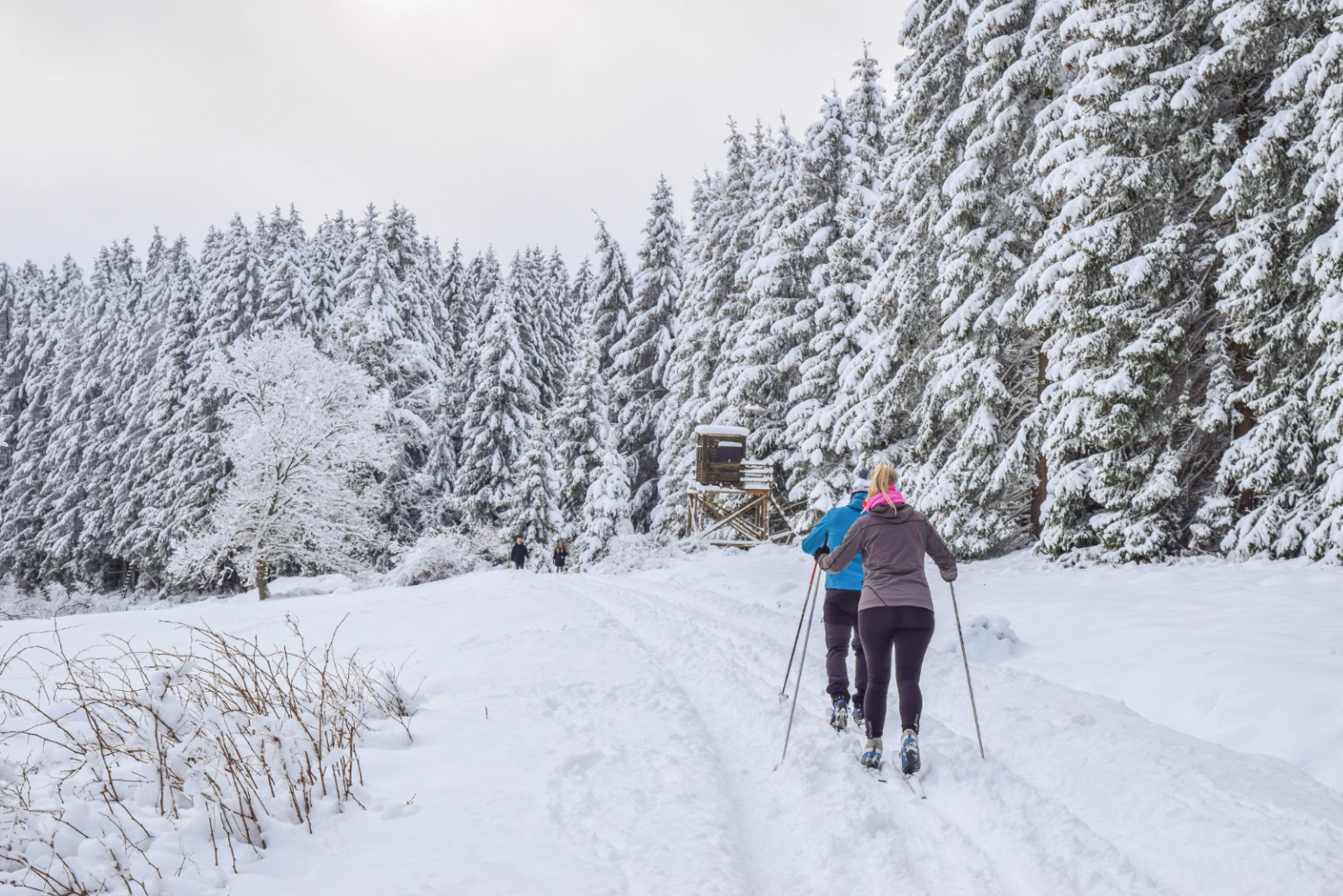 two women cross country skiing in the snow